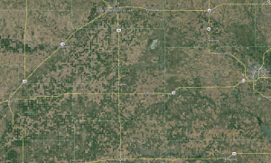 Image from Google Earth showing density of center pivot irrigation wells in the Great Bend Sand Prairie.