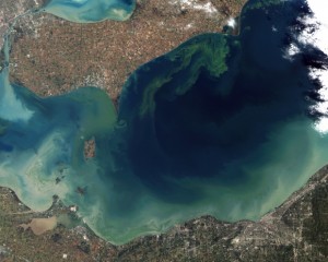 Erie Algae Bloom. Photo from NASA, via Wikimedia Commons
