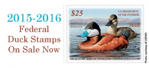 2015-2016-Federal-Duck-Stamps-On-Sale-Now